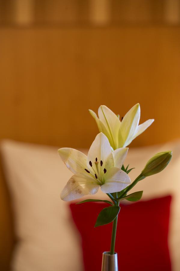 Pension Appartement Lanzer モースブルク エクステリア 写真